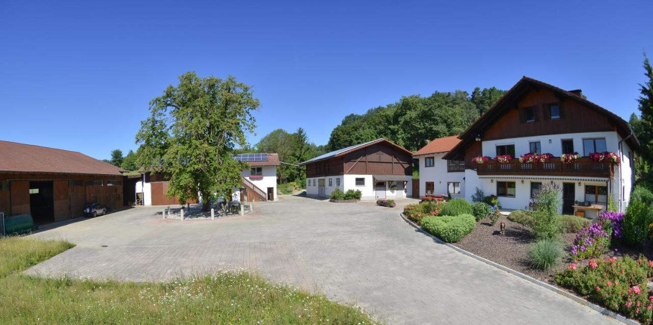 Gaestehaus Wildgehege Wilhelm Exteriér fotografie