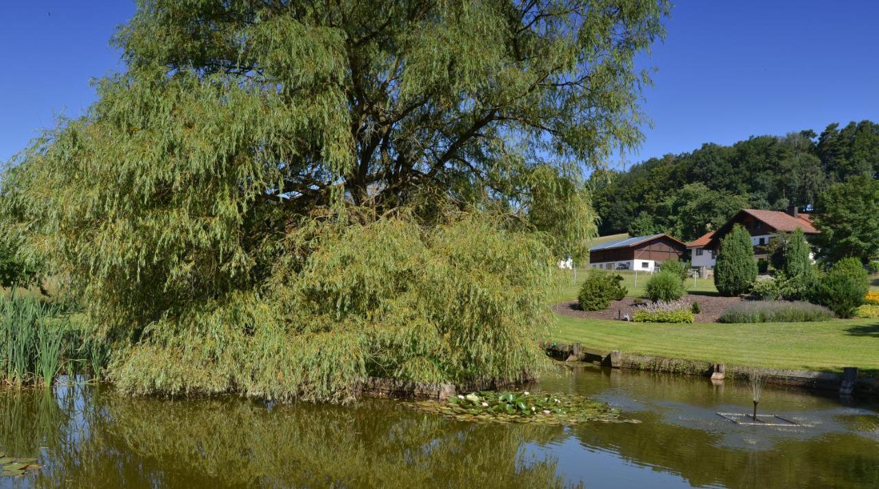 Gaestehaus Wildgehege Wilhelm Exteriér fotografie