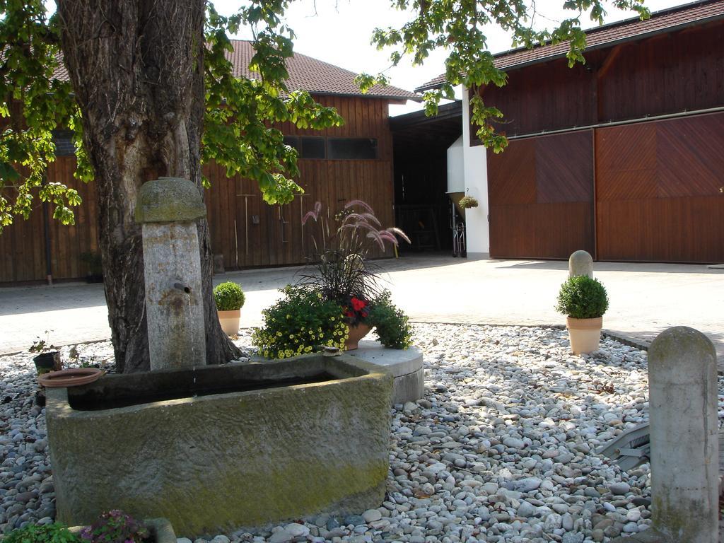 Gaestehaus Wildgehege Wilhelm Exteriér fotografie